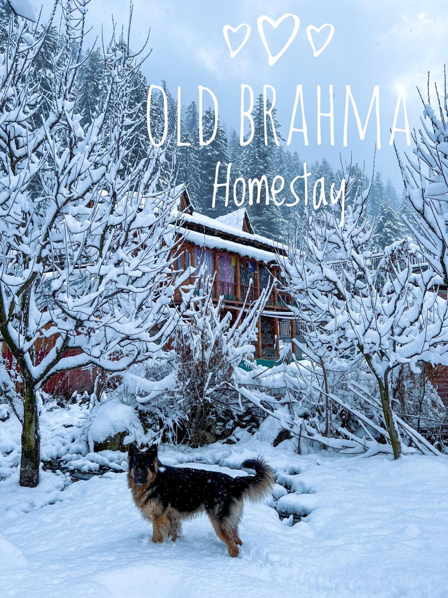 Old Brahma Homestay Kalgha Bagian luar foto